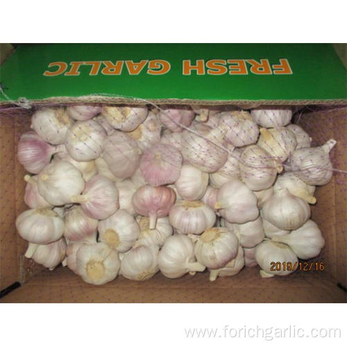 Normal White Garlic Fresh Garlic